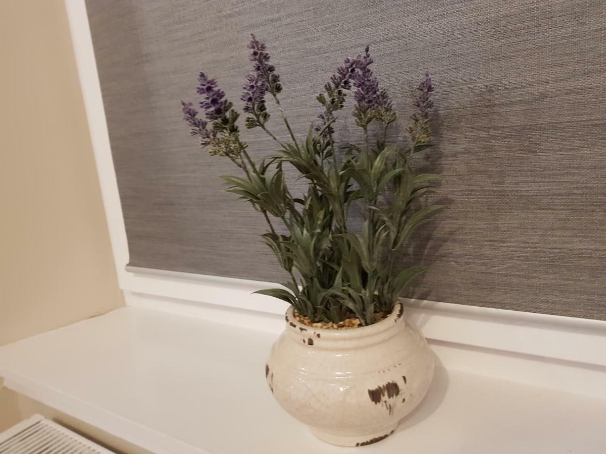 Smart & Cozy Holiday Apartment In The City Centre Инвернесс Экстерьер фото